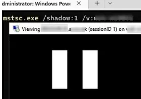 pause/suspend shadow session in windows